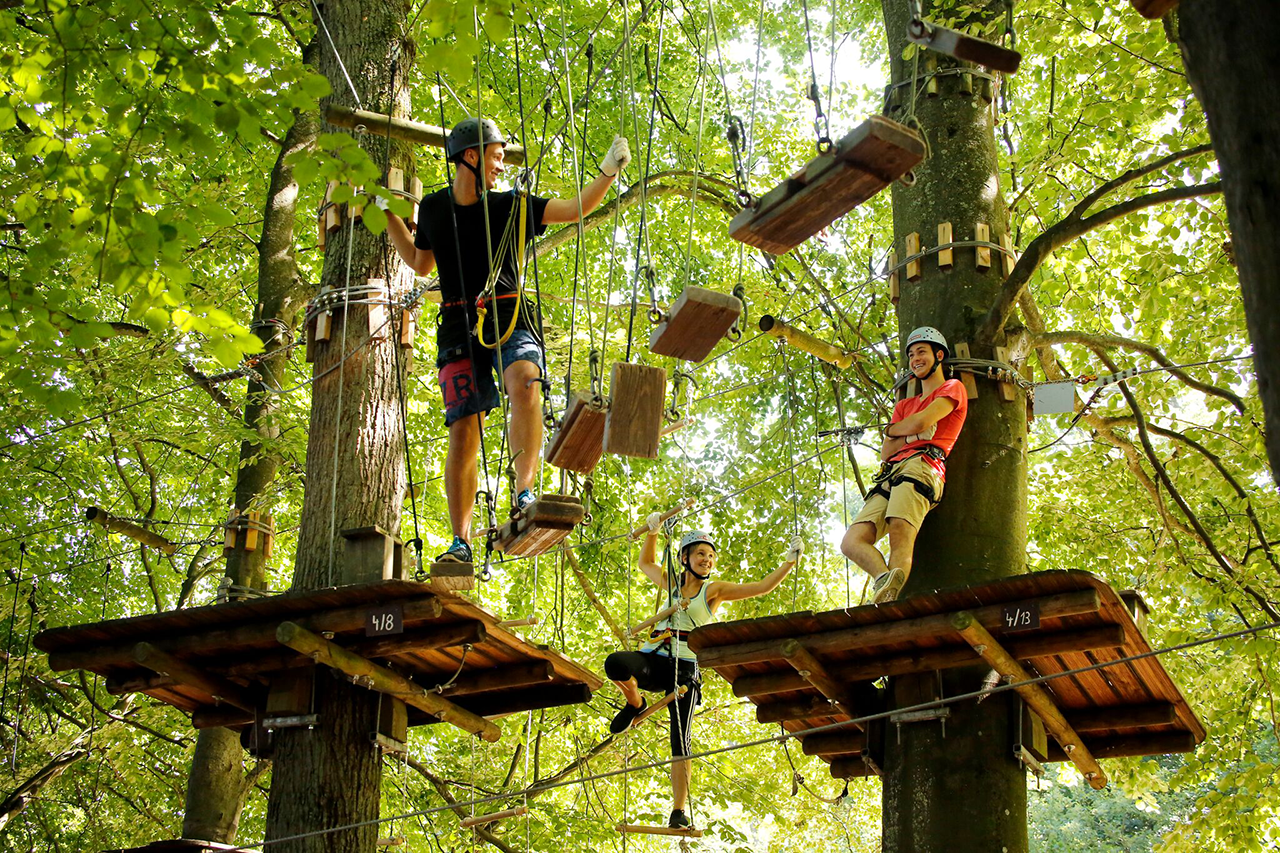 Adventure forest. Linz Австрия веревочный парк. Афан Форест парк. Парк приключений Лозовское. Сааремаа парк приключений.