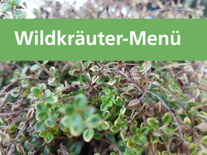 wildkraeuter menue