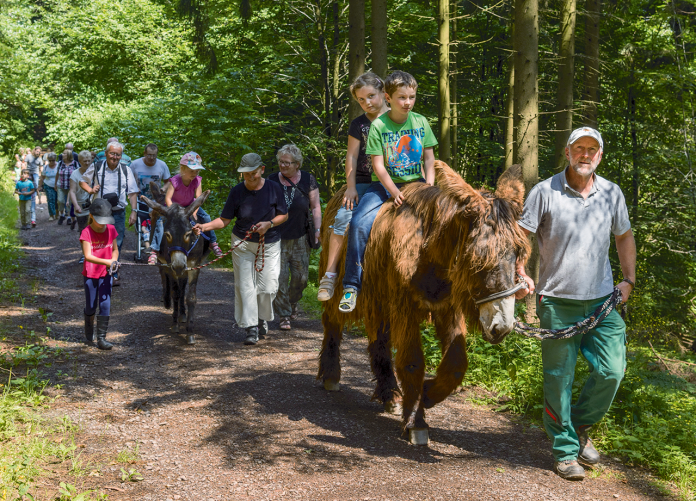 Kinderprogramm Erlebniswanderung 2