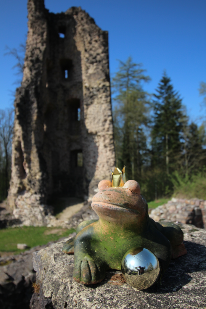 dagstuhl frosch