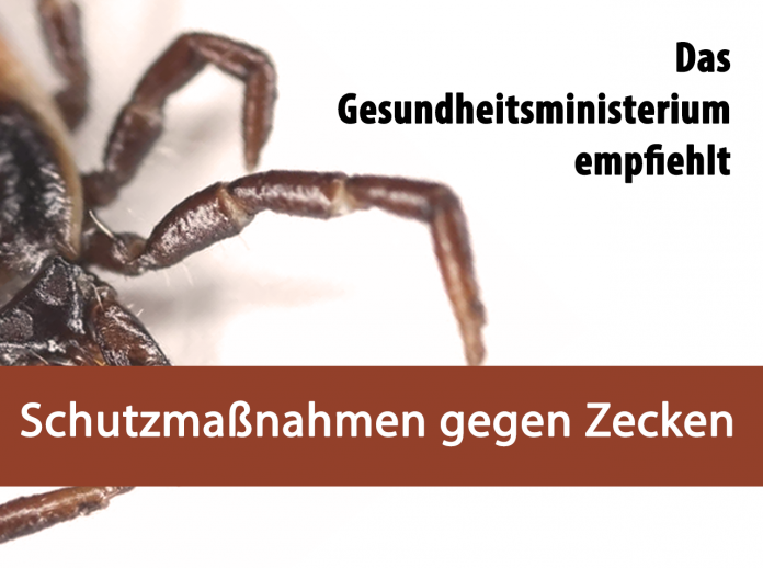 zecken