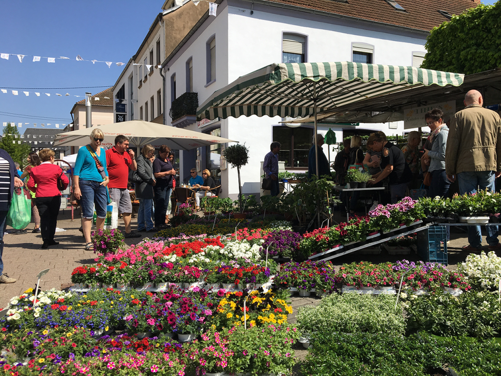 Merziger Blumenmarkt 2019 | saarnews