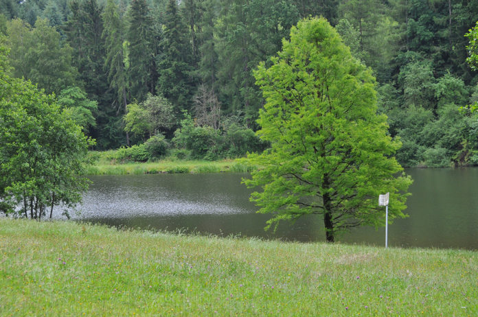 Stadtverwaltung St. Ingbert: Glashütter Weiher kein Badeweiher