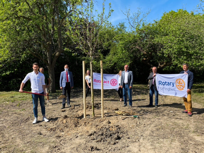 Rotarier und Rotaracter spenden acht Obstbäume für die Fideliswiese