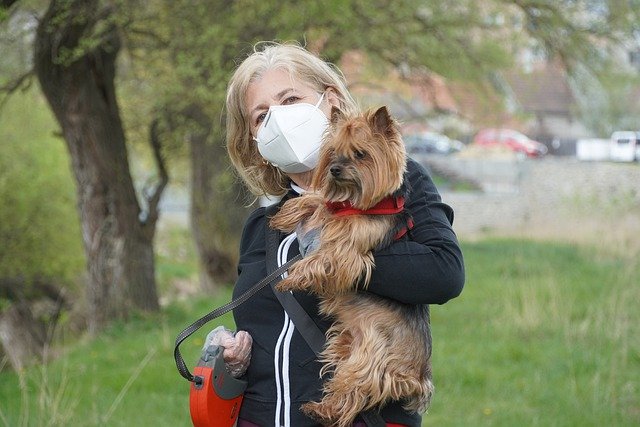 Zahl der mit COVID-19 Infizierten steigt im Saarland auf insgesamt 2.703 – 165 verstorben, 2489 geheilt