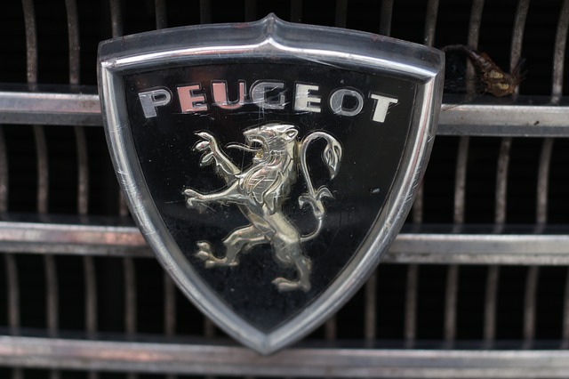 Peugeot 206 auf Schmelzer Parkplatz beschädigt