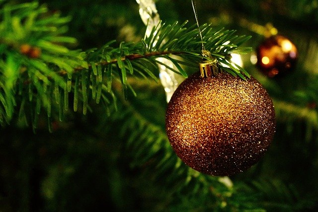 Weihnachtsfan verliert Tannenbaum auf der Autobahn