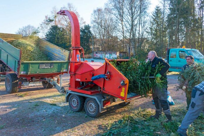 Bild: T.Bastuck Titel: Mitarbeiter der Stadtgärtnerei häckseln die ausgedienten Weihnachtsbäume