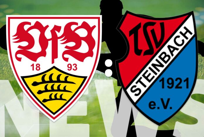 vfb steinbach