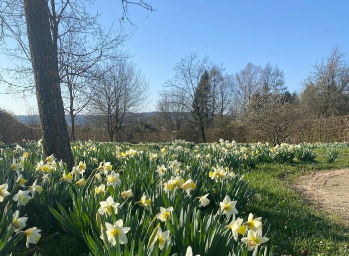 Fruehling im Garten der Sinne