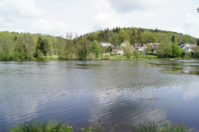 76-jähriger Rollstuhlfahrer vor Ertrinken im Niederwürzbacher Weiher gerettet