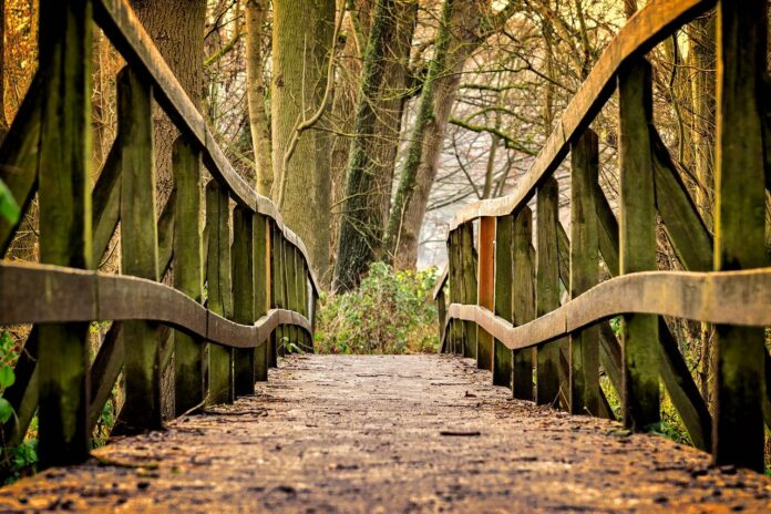 Broschüre mit über 20 geführten Themenwanderungen erschienen