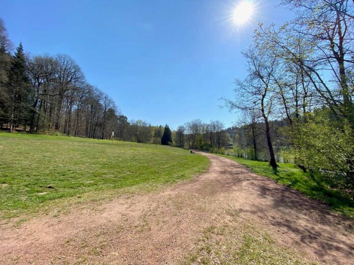 wiese glashuetter weiher Foto Giusi Faragone