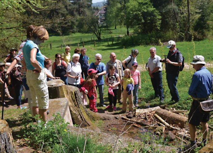 VHS bietet Wanderung zu den Brünnchen im Hasseler Wald an