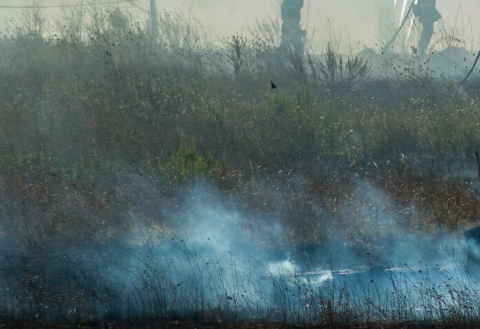 Brand einer Heuwiese bei Perl-Sinz