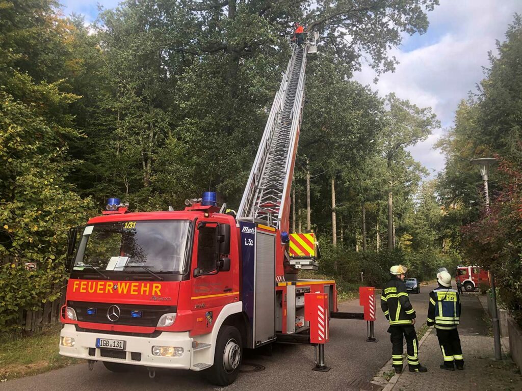 Ein Ast drohte auf die Straße zu stürzen und wurde über die Drehleiter entfernt, Bild: Pascal Gries/Feuerwehr