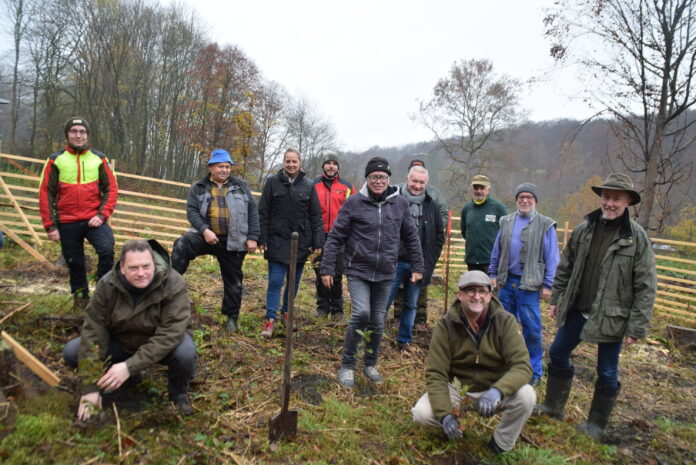 Klimaschutz soll Schwerpunkt in Sulzbach werden