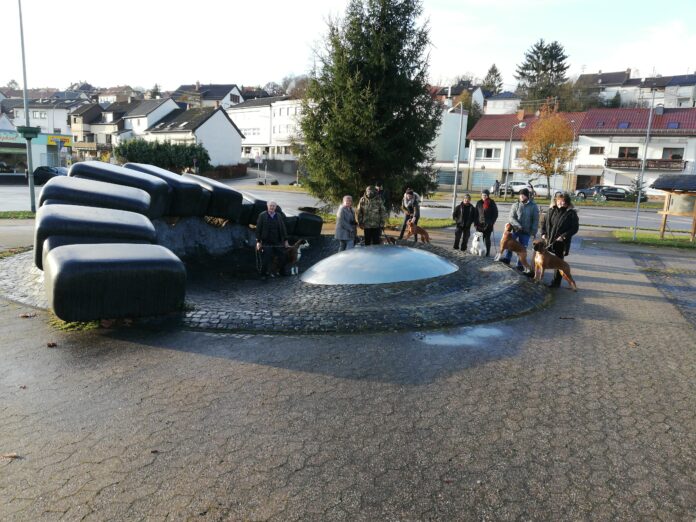 Brunnen Fischbach SZ gesamt