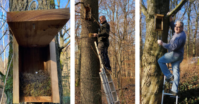 Collage Nistkastenreinigung Medien Kopie