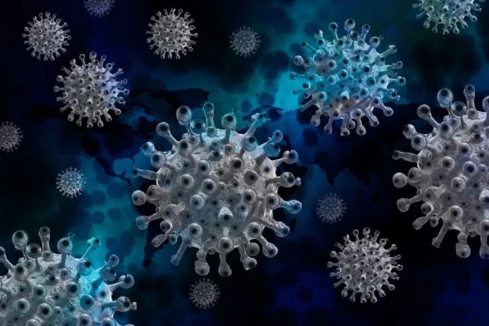 corona virus
