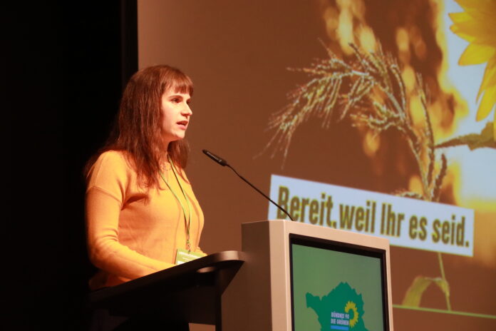 Grüne Saar stellen Landesliste für die Wahl im März zusammen