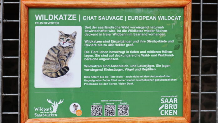Informationsschild zur Wildkatze im Wildpark - Foto: Landeshauptstadt Saarbrücken