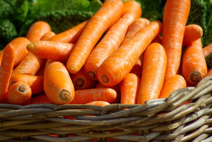 carrots 673184 1280