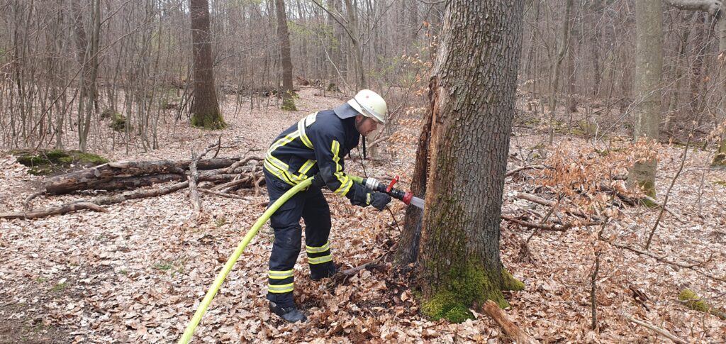 In Rohrbach löschte die Feuerwehr einen brennenden Baumstumpf Foto: F.Hoffmann 