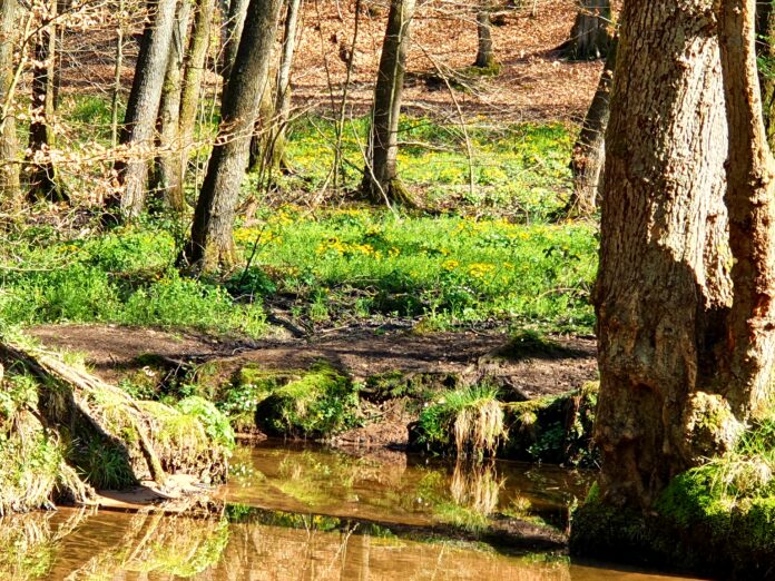 ruhbachtal 20220418 164100