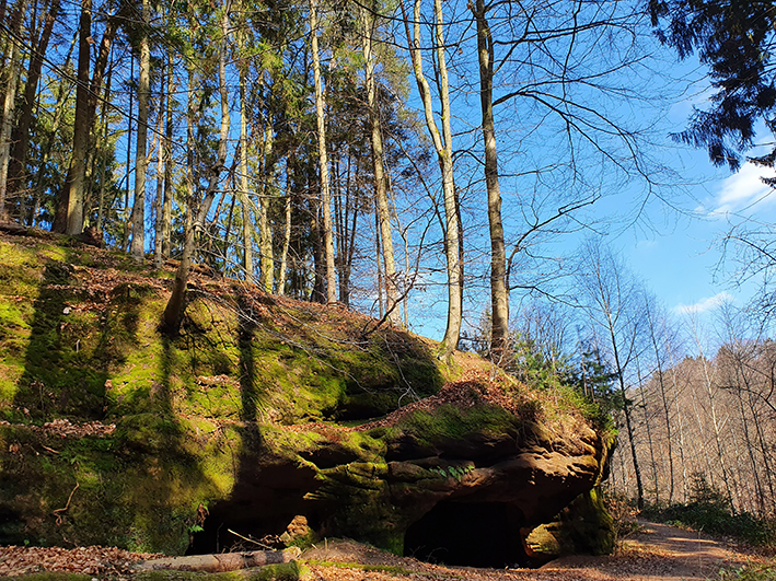 BU: Das Naturdenkmal "Eichertsfels" nördlich von Oberwürzbach ist eine Felsformation mit mehreren Höhlen. Foto: Maria Müller-Lang