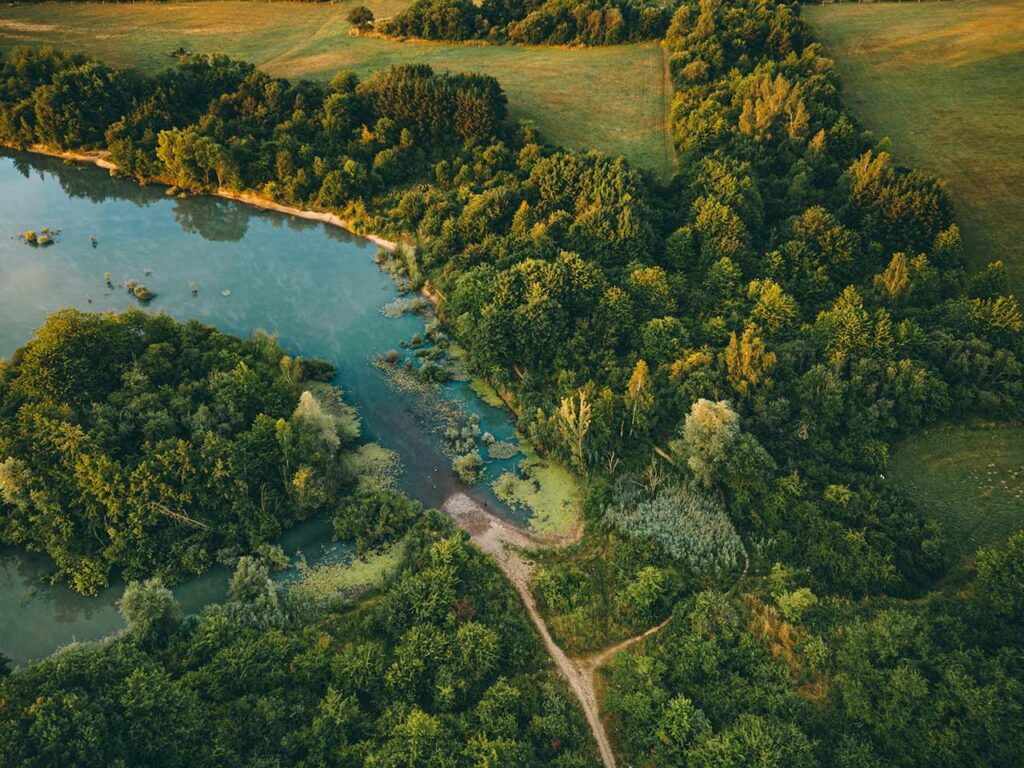 Habichtsweiden Drohne c Jannis Pfister