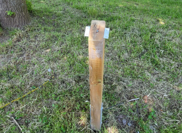 baumlehrpfad