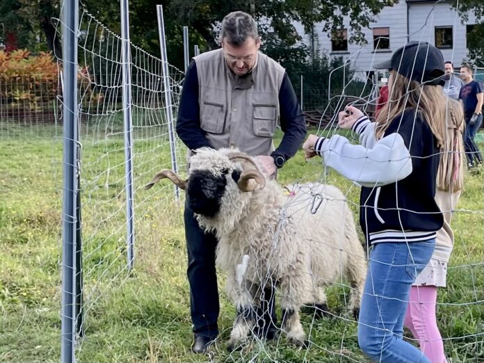 Foto: Schäfchenfreunde Wiesental Dudweiler e.V.