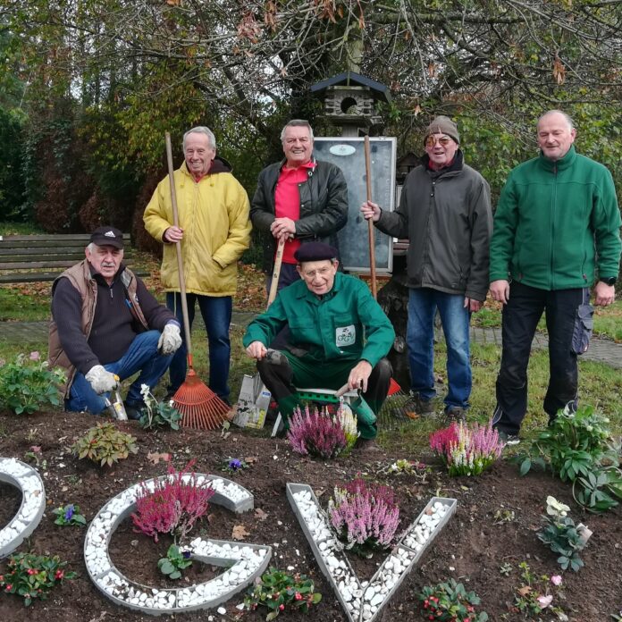 Fleißig am Werk waren sieben Einpflanzer, um die Blumeninsel wieder auf Vordermann zu bringen, so v. l. Alfred Herr, Thomas Wunn, Wolfgang Laub und Ralf Steinhauer sowie weitere drei Helfer Fritz Müller, Klaus Latour, Horst Dieter Hetrich. „Das han ma mol widda gud hingrid“, so ihr zufriedenstellender Kommentar, mit dem sie voll recht haben. Es ist und bleibt ein schönes Fleckchen, eingebettet in viel Rasen und drei Bänken, die zum Verweilen einladen. (jg)