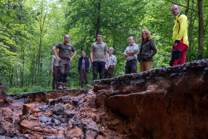 Ministerin Petra Berg (2.v.r.) mit Mitarbeitenden des SaarForst Landesbetriebs und zuständigen Revierförstern im Rahmen der „Reviertour“ im Warndtwald, Foto: MUKMAV/Daniel W. Bittner