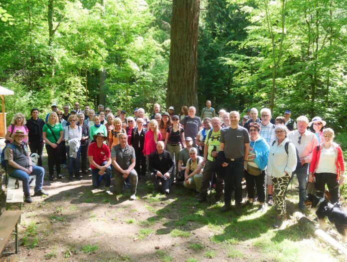 Die illustre Wandergruppe bei ihrem ersten Zwischenstopp bei den Mammutbäumen. Foto: Sandra Brettar